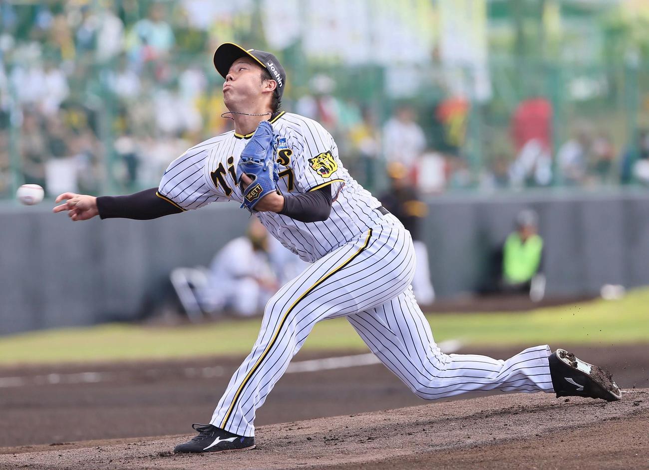 阪神先発の青柳（撮影・上田博志）