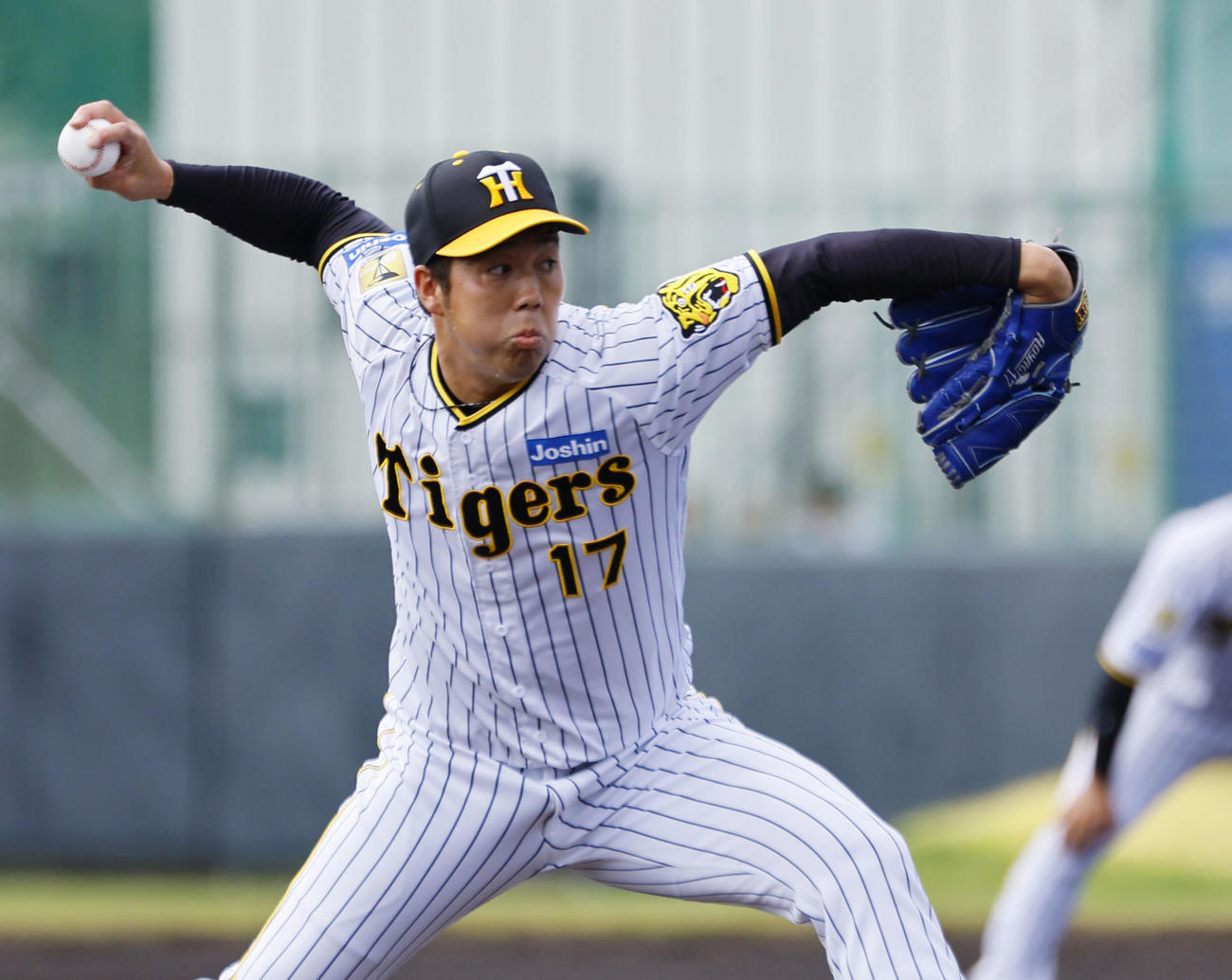 楽天戦に先発した阪神青柳（撮影・藤尾明華）