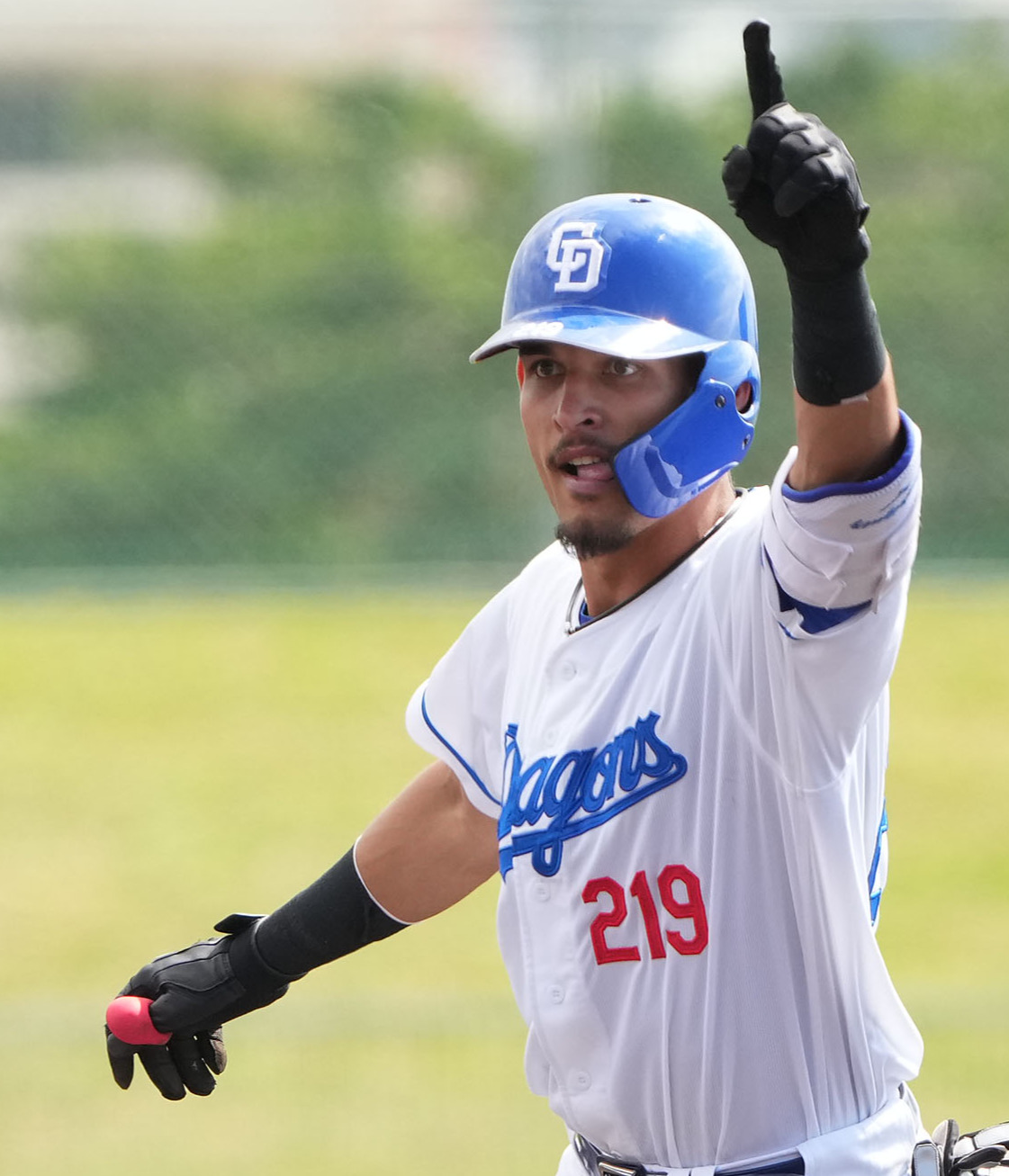 中日対DeNA 2回裏中日2死一、二塁、左翼へ適時二塁打を放ったロドリゲス（撮影・森本幸一）