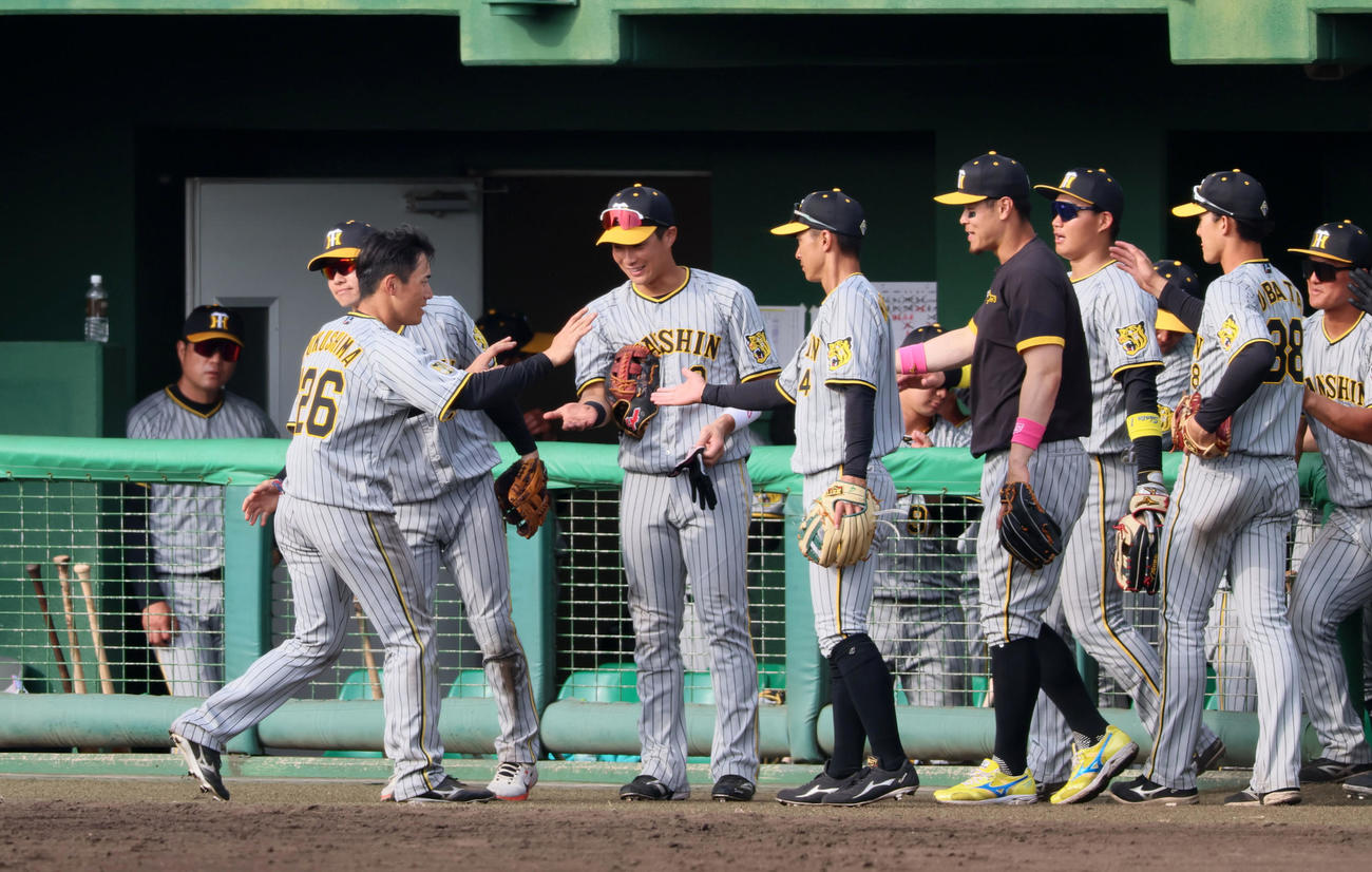 練習試合　広島対阪神　9回表阪神2死一、三塁、福島は右前適時打を放ち攻守交代でベンチへ戻るとナインから祝福の出迎えを受ける（撮影・加藤哉）