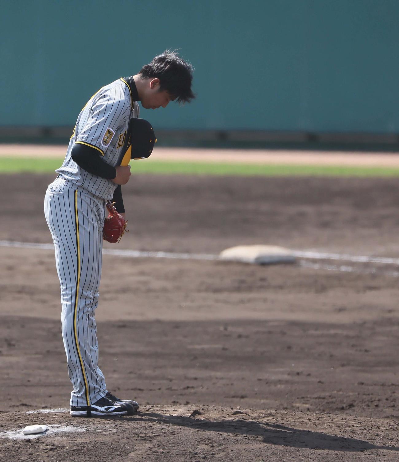 広島対阪神　マウンドで一礼して投球練習に入る才木（撮影・上田博志）