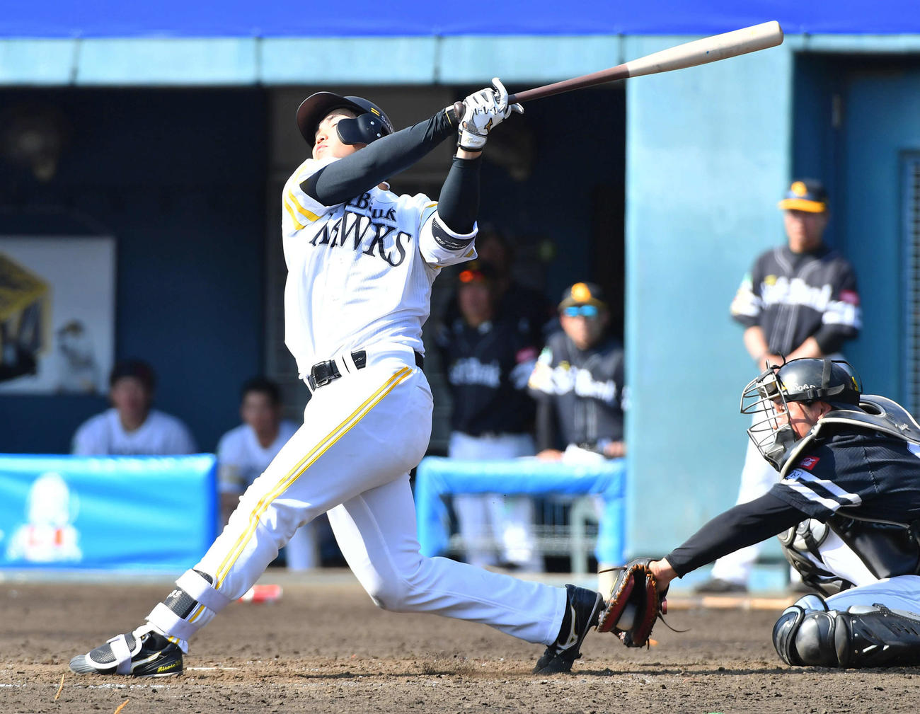ソフトバンク紅白戦　5回裏白組無死一塁、空振り三振に倒れる広瀬（撮影・岩下翔太）
