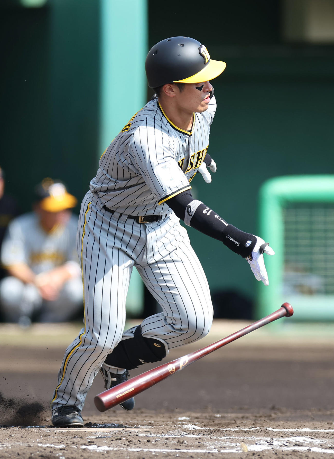 広島対阪神　2回表阪神無死、左前打を放つ坂本（撮影・前田充）