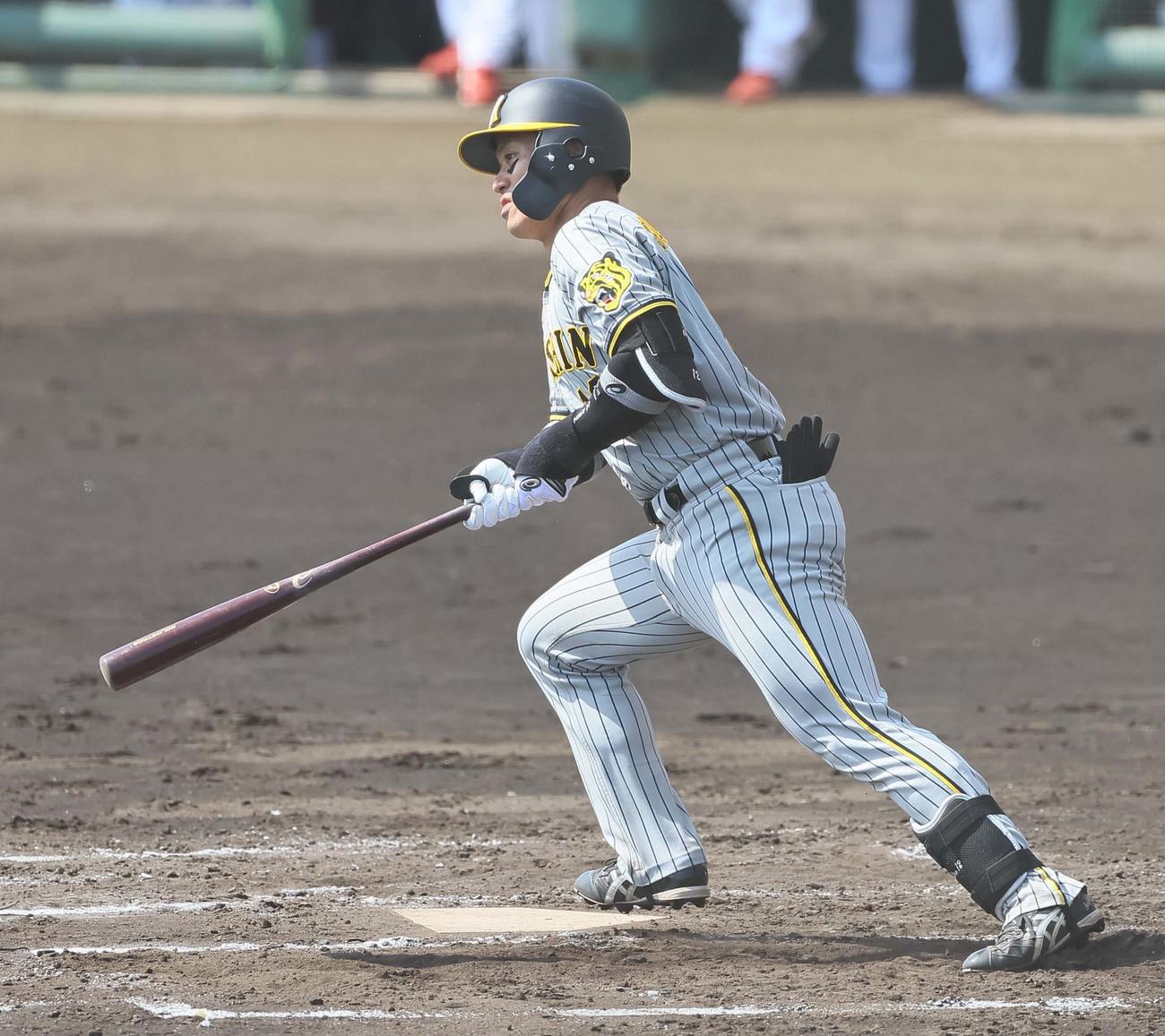 広島対阪神　2回表阪神無死、坂本は左前打を放つ（撮影・上田博志）