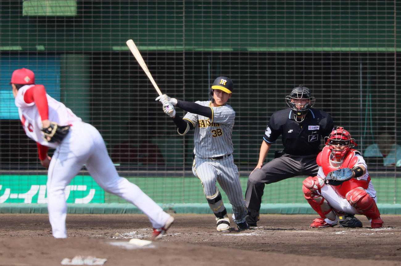 練習試合　広島対阪神　3回表阪神2死一塁、小幡は右前打を放つ。投手は斉藤（撮影・加藤哉）