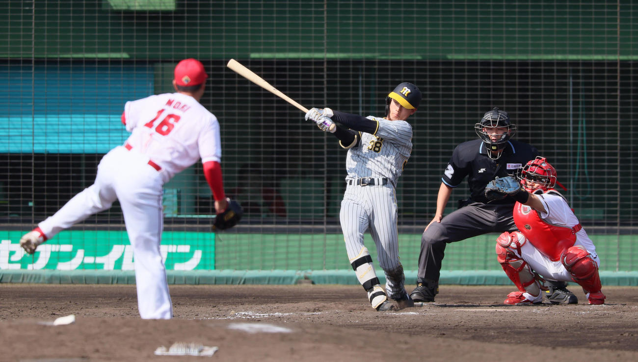 練習試合　広島対阪神　5回表阪神無死一塁、小幡は右前打を放つ。投手は森（撮影・加藤哉）