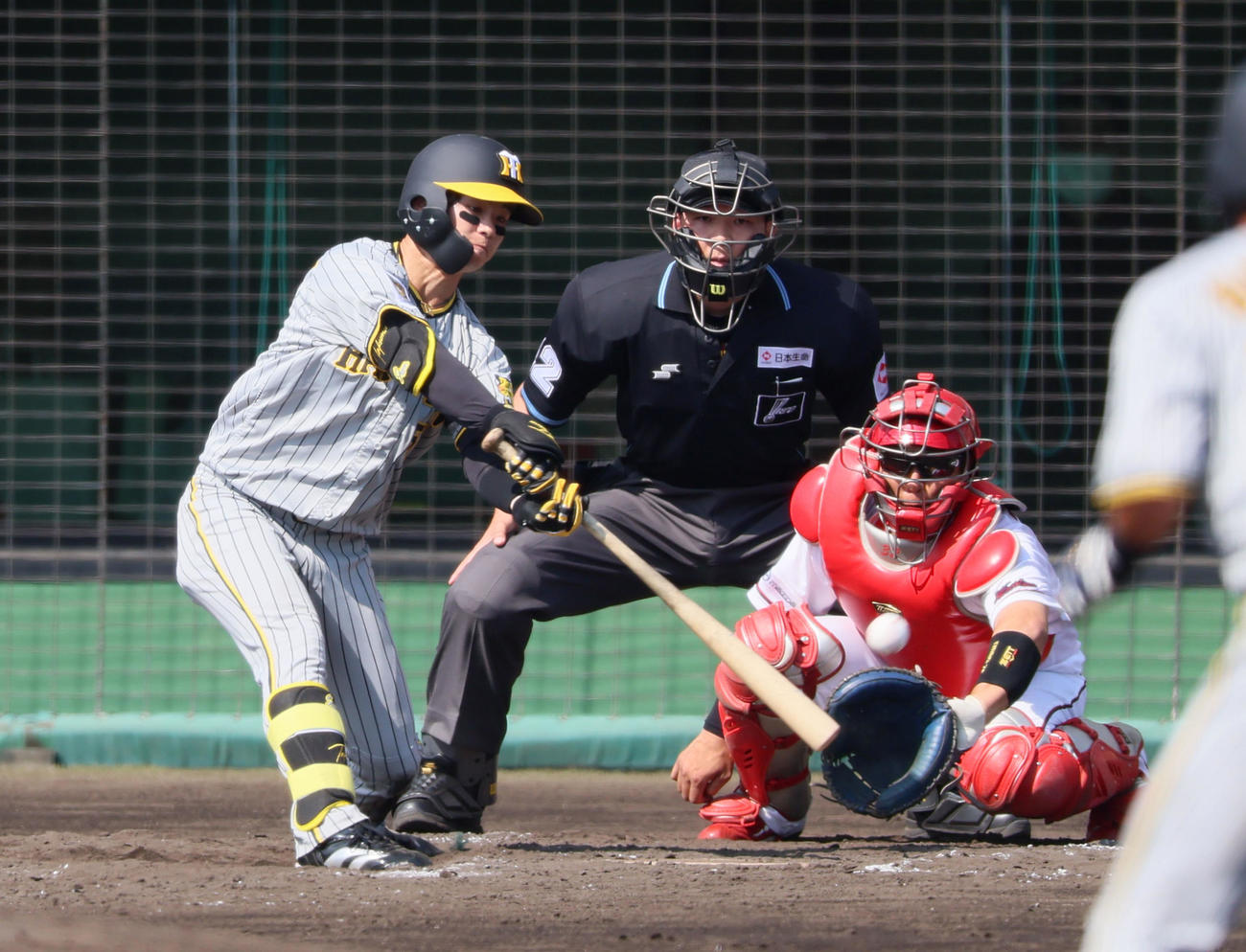 練習試合　広島対阪神　4回表阪神無死一、二塁、中野は左前打を放つ（撮影・加藤哉）