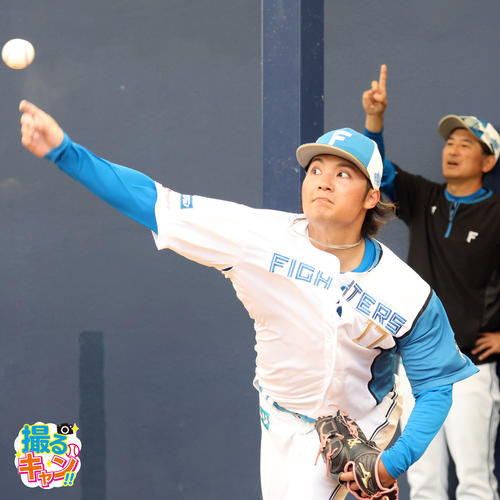 ブルペンで投球練習をする日本ハム伊藤(撮影・佐藤翔太)