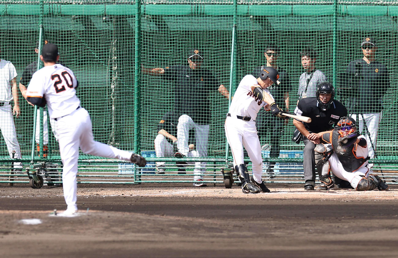 シート打撃で泉口を空振り三振に仕留める巨人戸郷（撮影・河田真司）