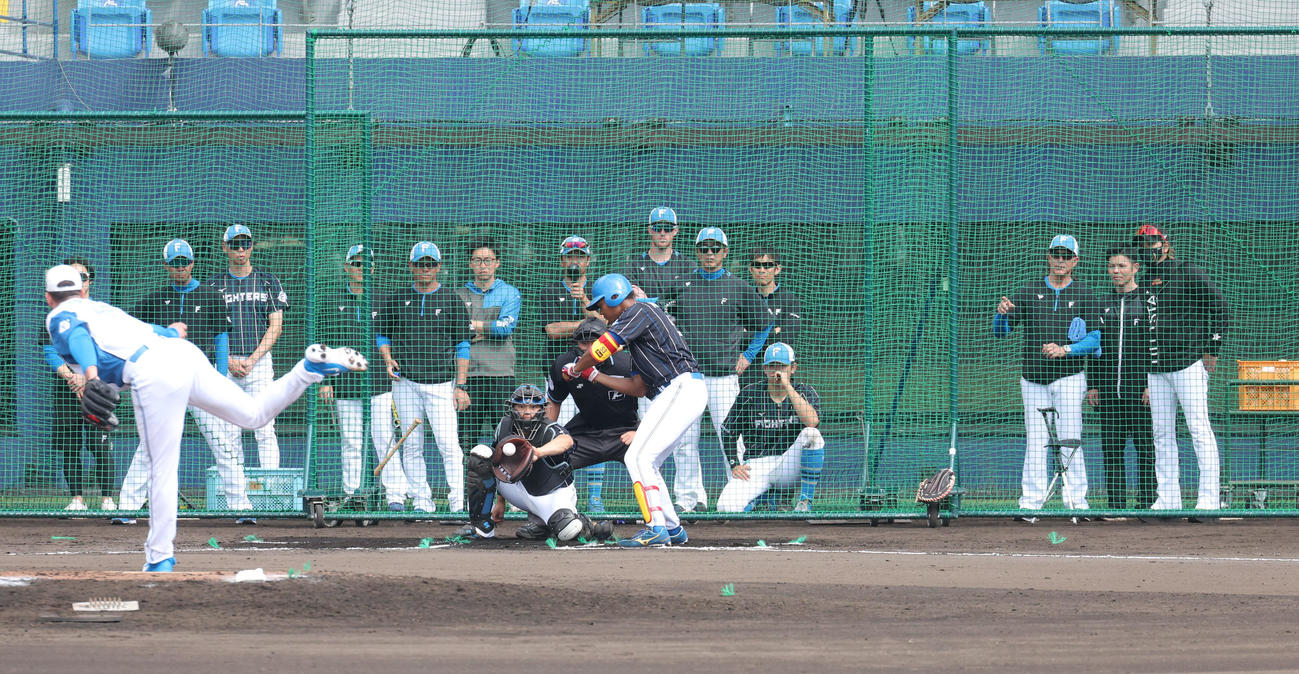 ライブBPで投球する日本ハム・バーヘイゲンを見つめるヒルマン氏（右から3人目）と新庄監督（撮影・佐藤翔太）