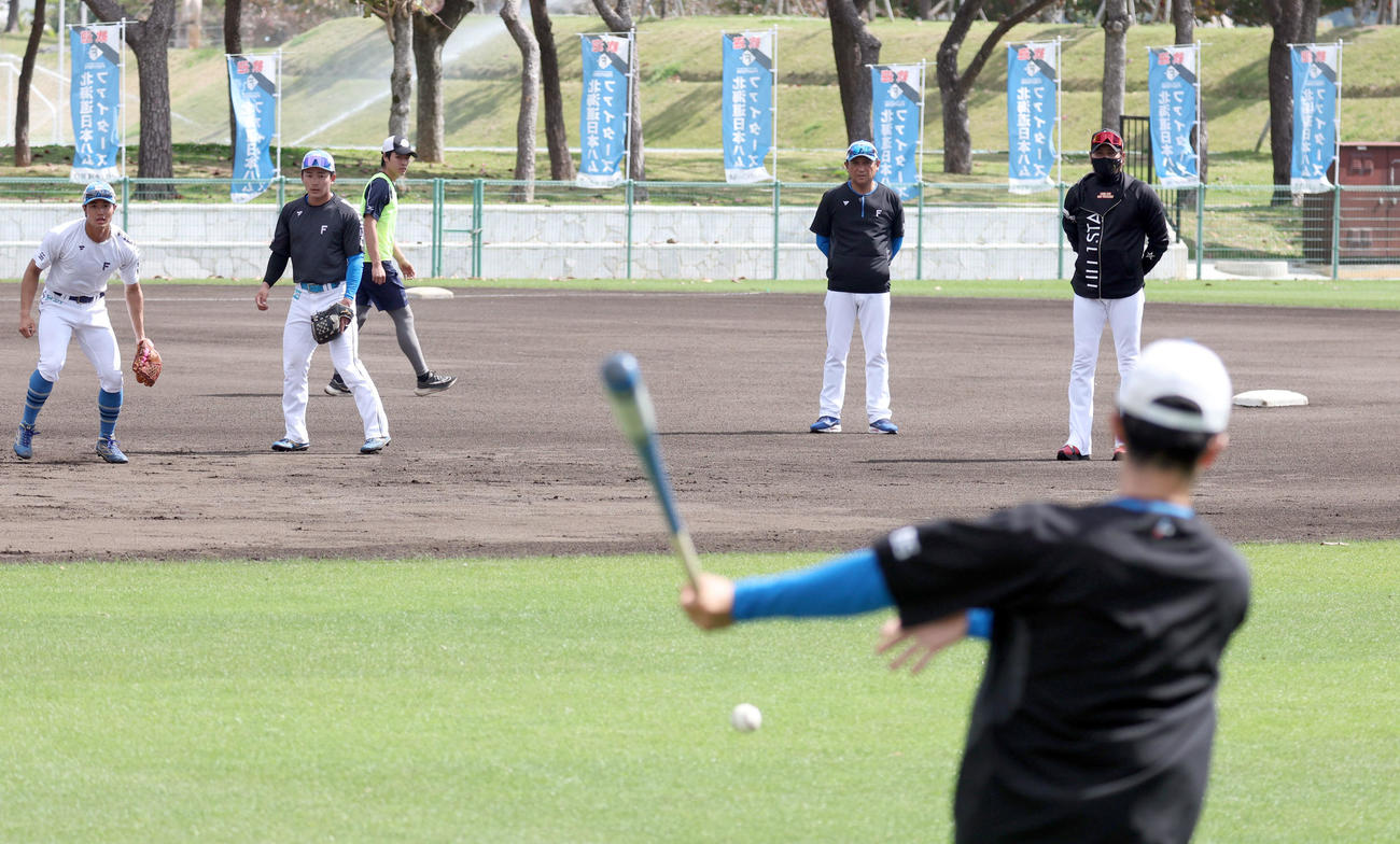 日本ハム細川と水野の守備練習を見つめる新庄監督（右）（撮影・佐藤翔太）