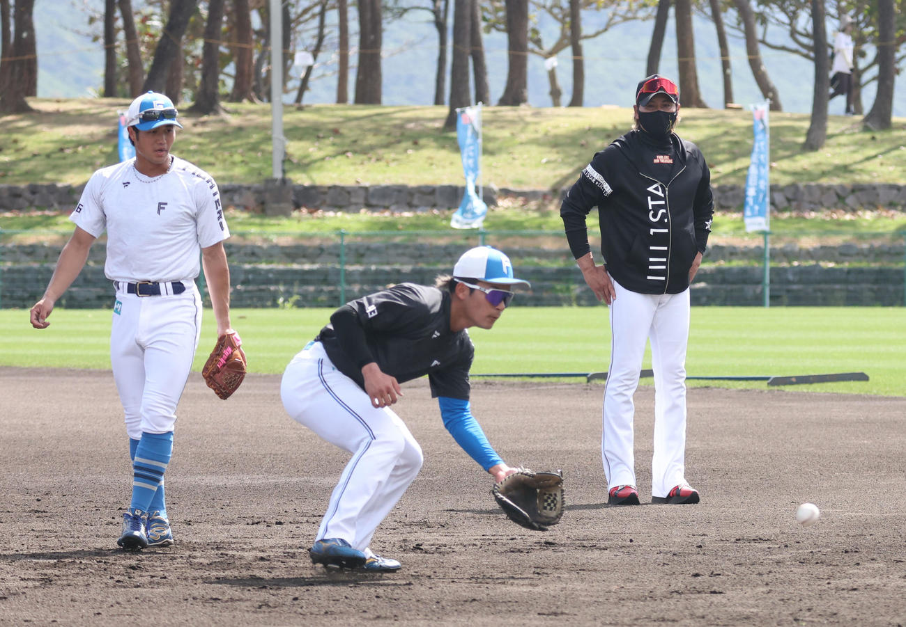 日本ハム細川（左）と水野の守備練習を見つめる新庄監督（撮影・佐藤翔太）