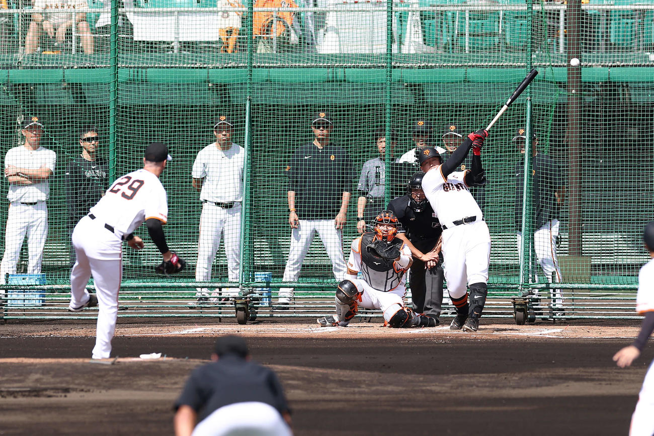 シート打撃で、グリフィンから左前に打球を放つ岡本和（撮影・河田真司）
