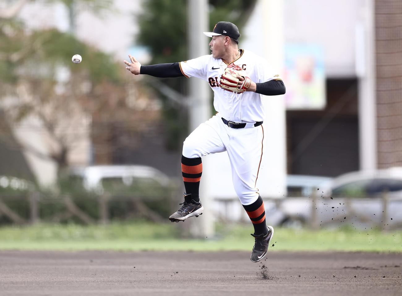 特守で俊敏な動きを披露する巨人岡本和（撮影・河田真司）