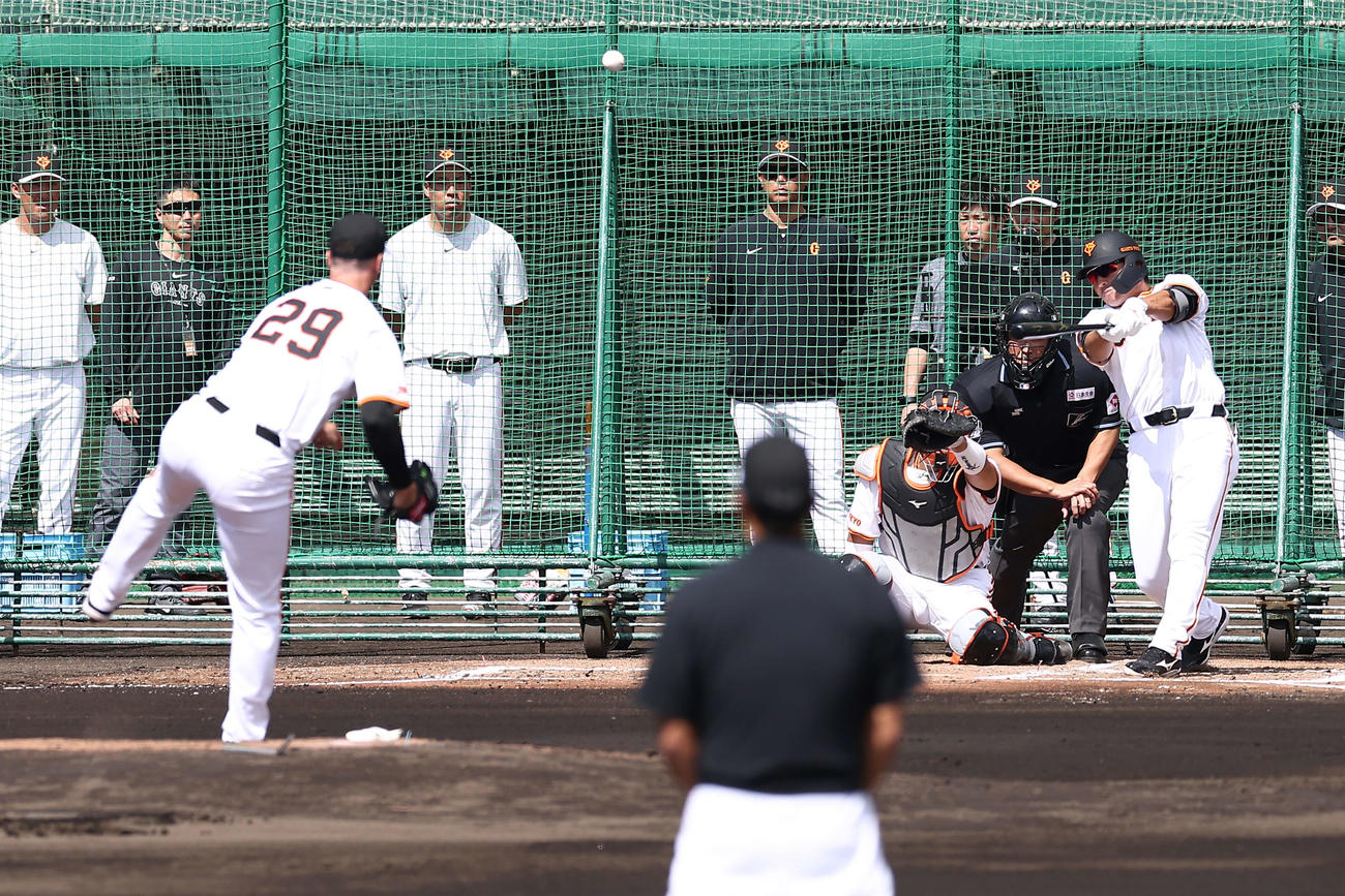 シート打撃で、フォスター・グリフィンから右前に打球を放つ長野（撮影・河田真司）