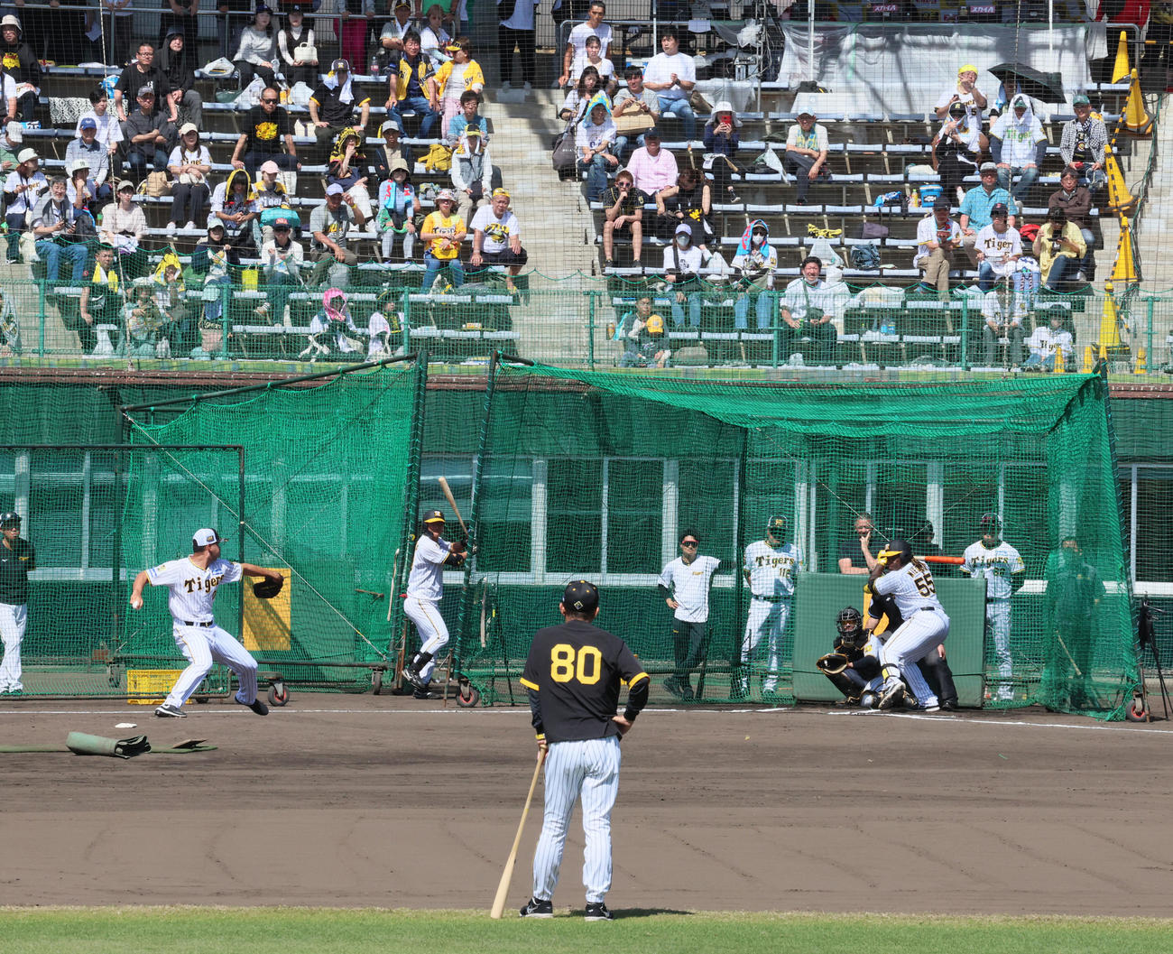 岡田監督が見る中、打撃投手で登板したゲラ。打席はミエセス（撮影・加藤哉）