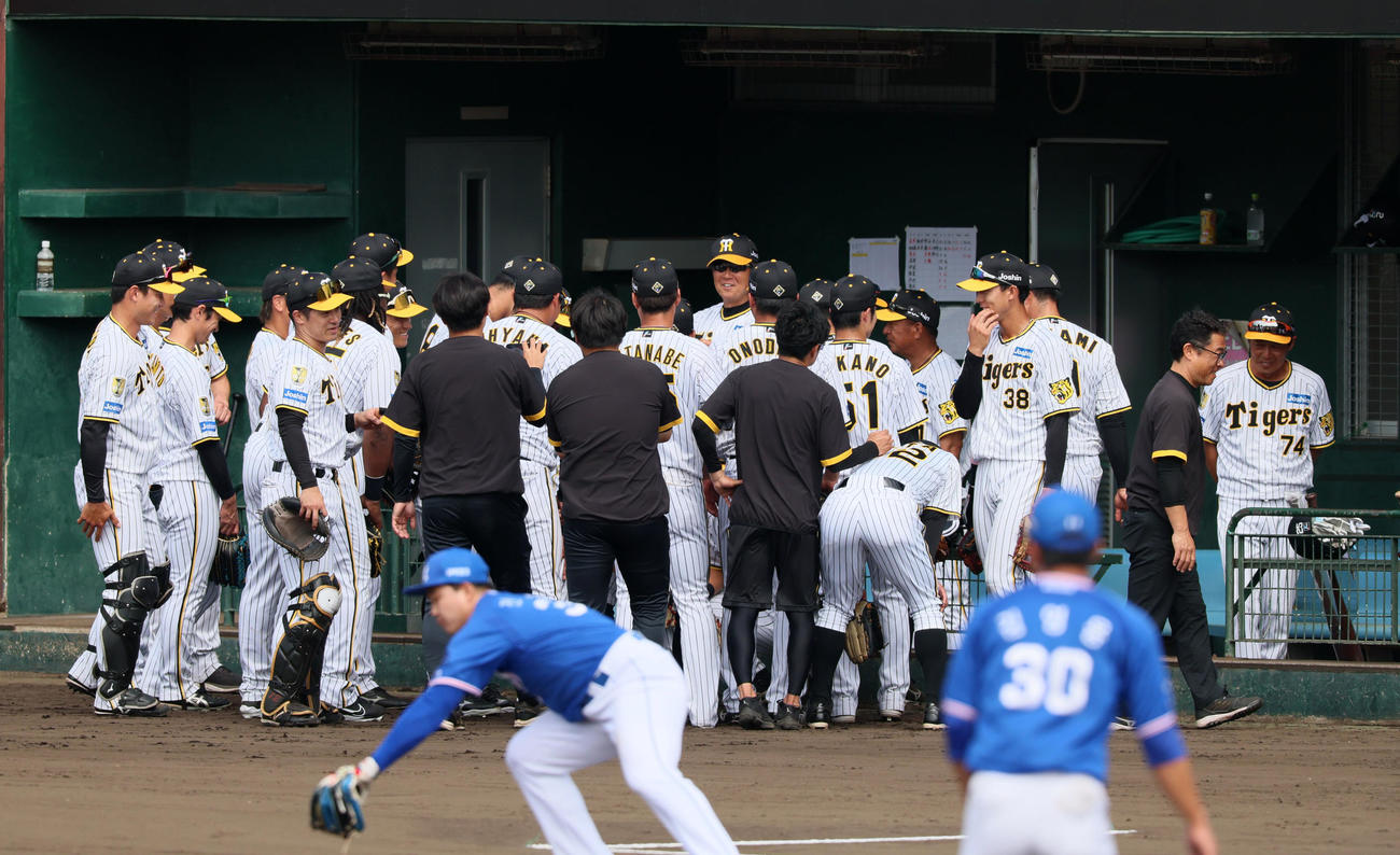 練習試合　阪神対サムスン　試合前の円陣を組む阪神ナイン（撮影・加藤哉）