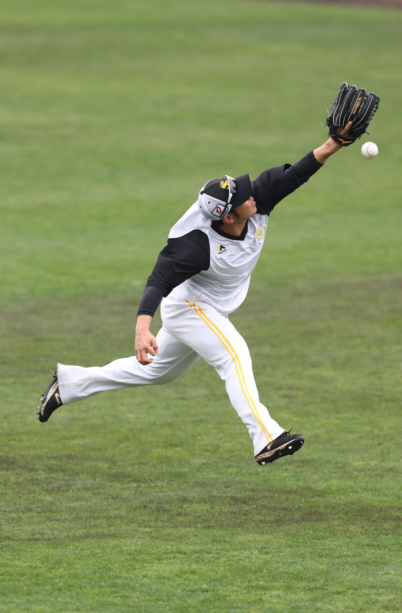 外野ノックで躍動感ある楽しいプレーを見せる近藤（撮影・梅根麻紀）