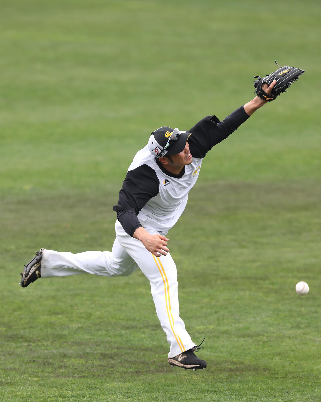 外野ノックで躍動感ある楽しいプレーを見せる近藤（撮影・梅根麻紀）