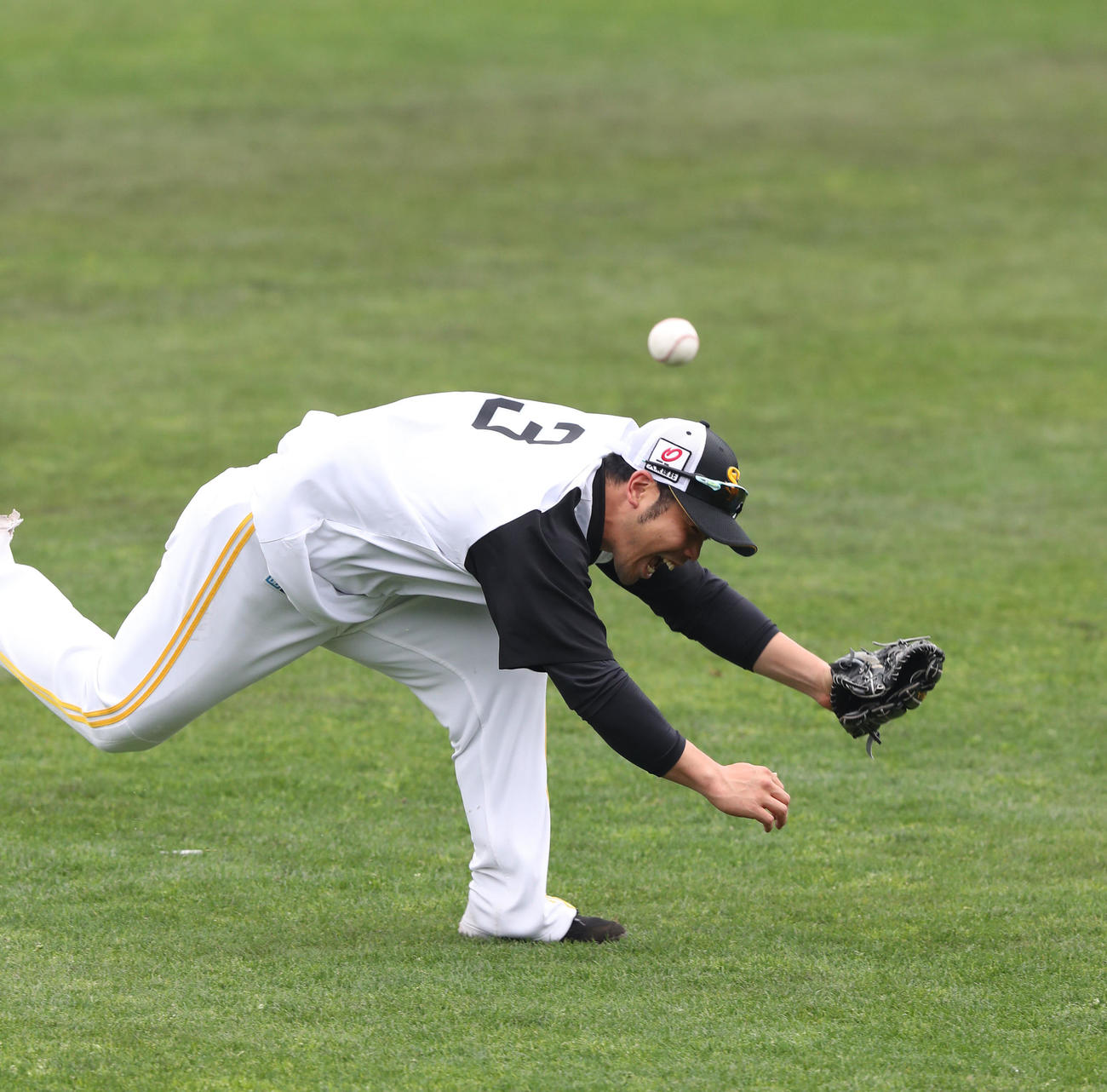 外野ノックで躍動感ある楽しいプレーを見せる近藤（撮影・梅根麻紀）