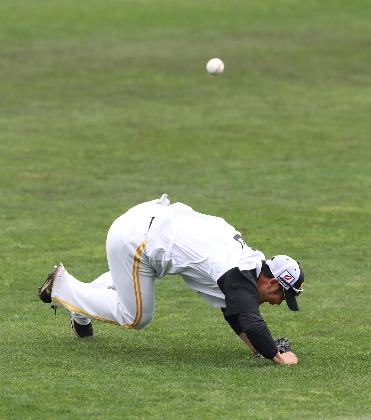 外野ノックで躍動感ある楽しいプレーを見せる近藤（撮影・梅根麻紀）