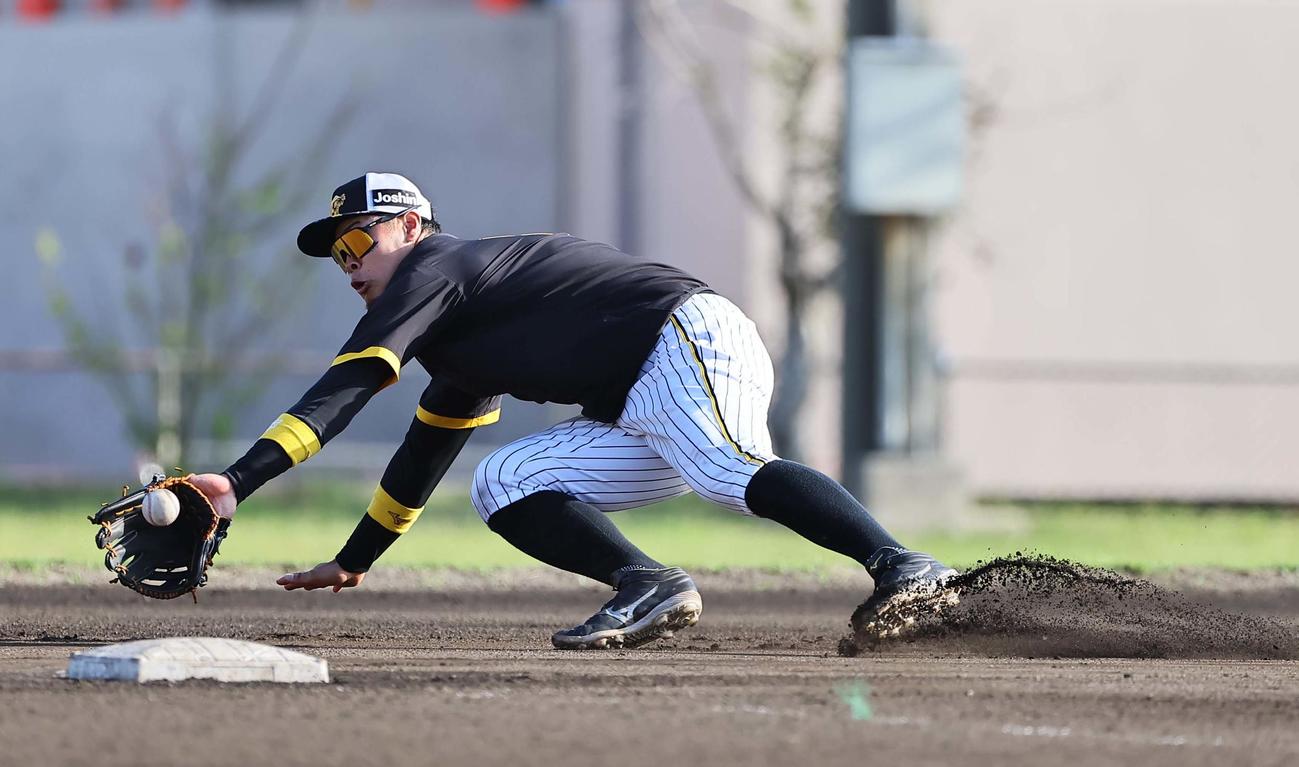 阪神対サムスン　軽快な動きでノックを受ける佐藤輝（撮影・上田博志）