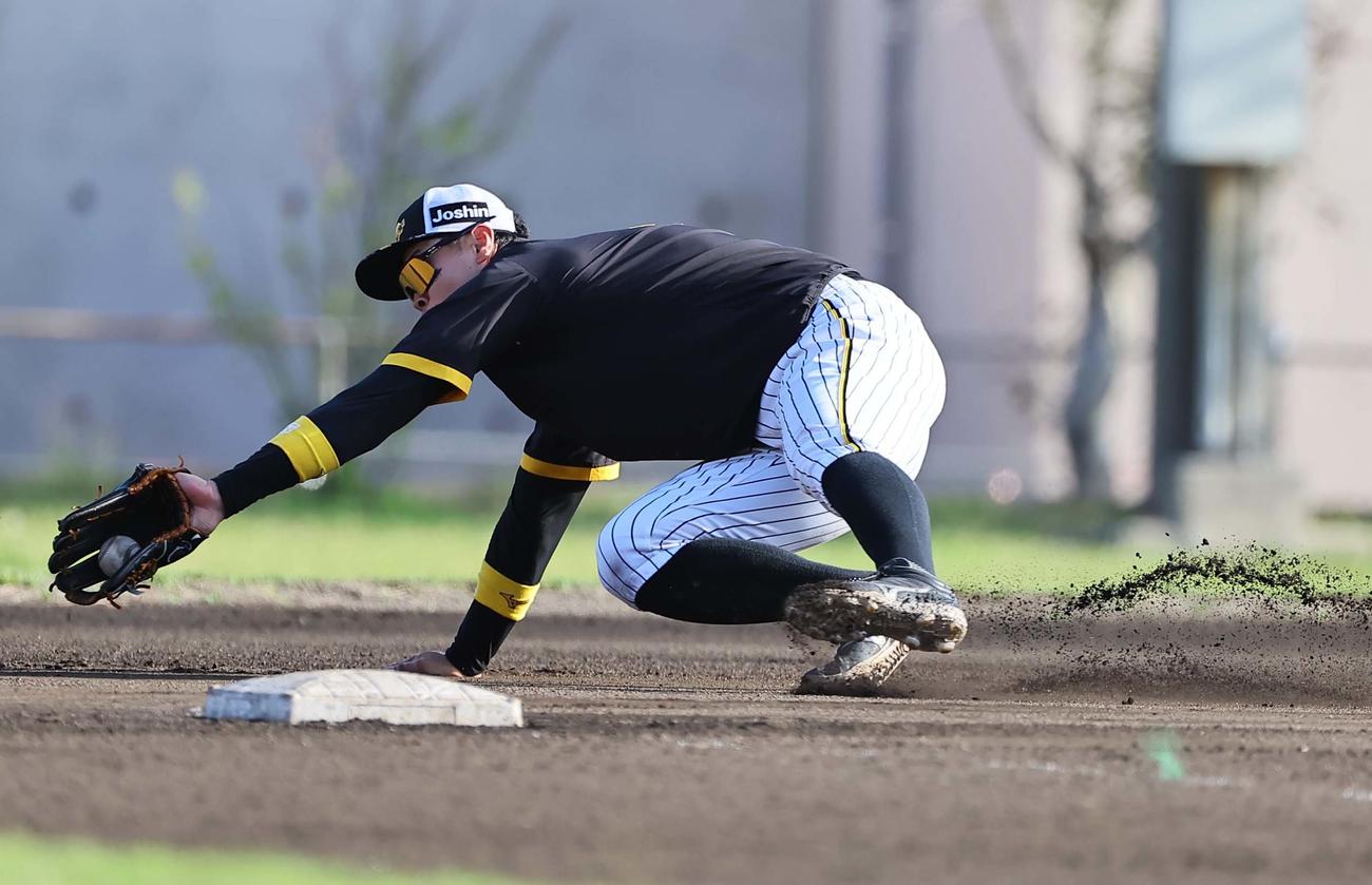 阪神対サムスン　軽快な動きでノックを受ける佐藤輝（撮影・上田博志）