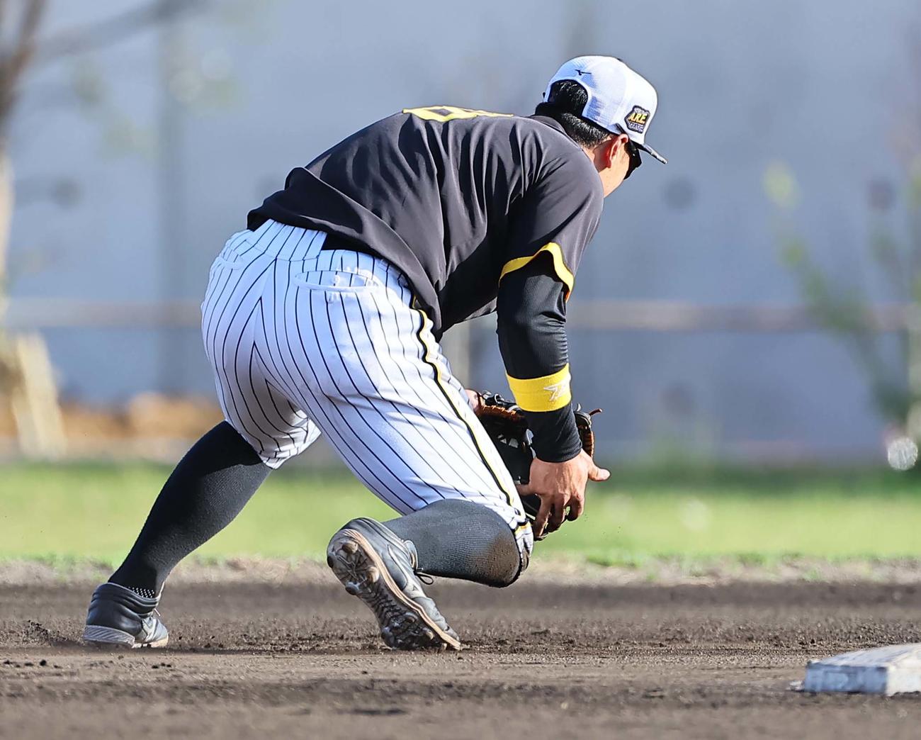 阪神対サムスン　軽快な動きでノックを受ける佐藤輝（撮影・上田博志）