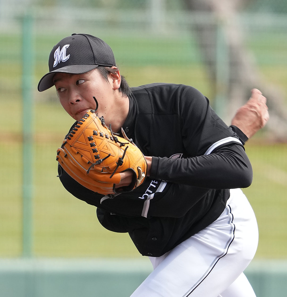 中日対ロッテ　2回裏、力投するロッテ先発の二木（撮影・森本幸一）