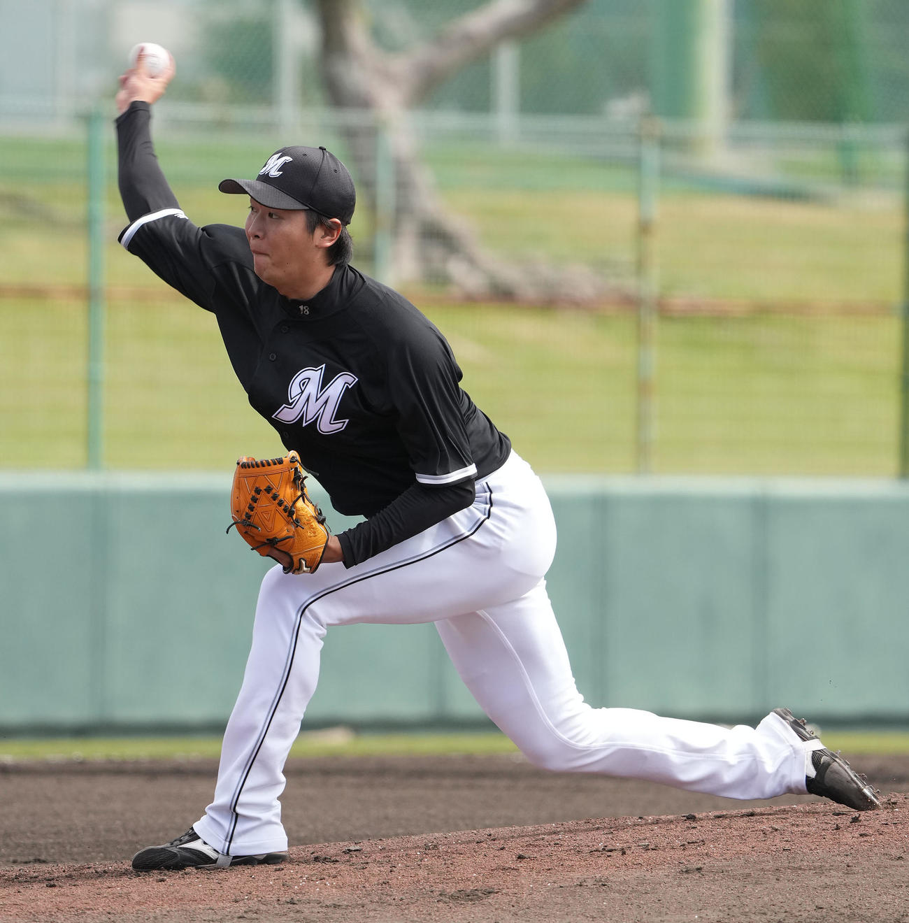 中日対ロッテ　2回裏、力投するロッテ先発の二木（撮影・森本幸一）