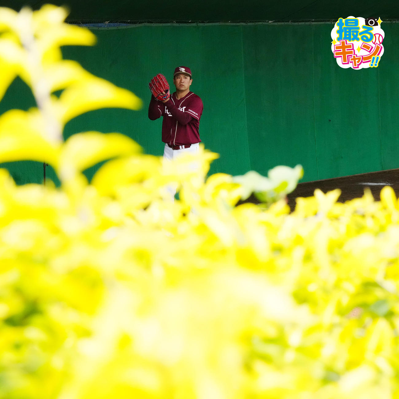 ブルペン投球する楽天田中将大（撮影・江口和貴）