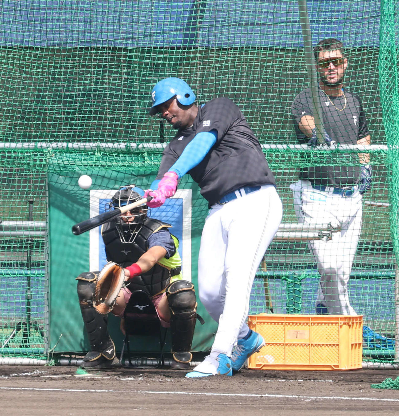 打撃練習をする日本ハム・レイエス（撮影・佐藤翔太）