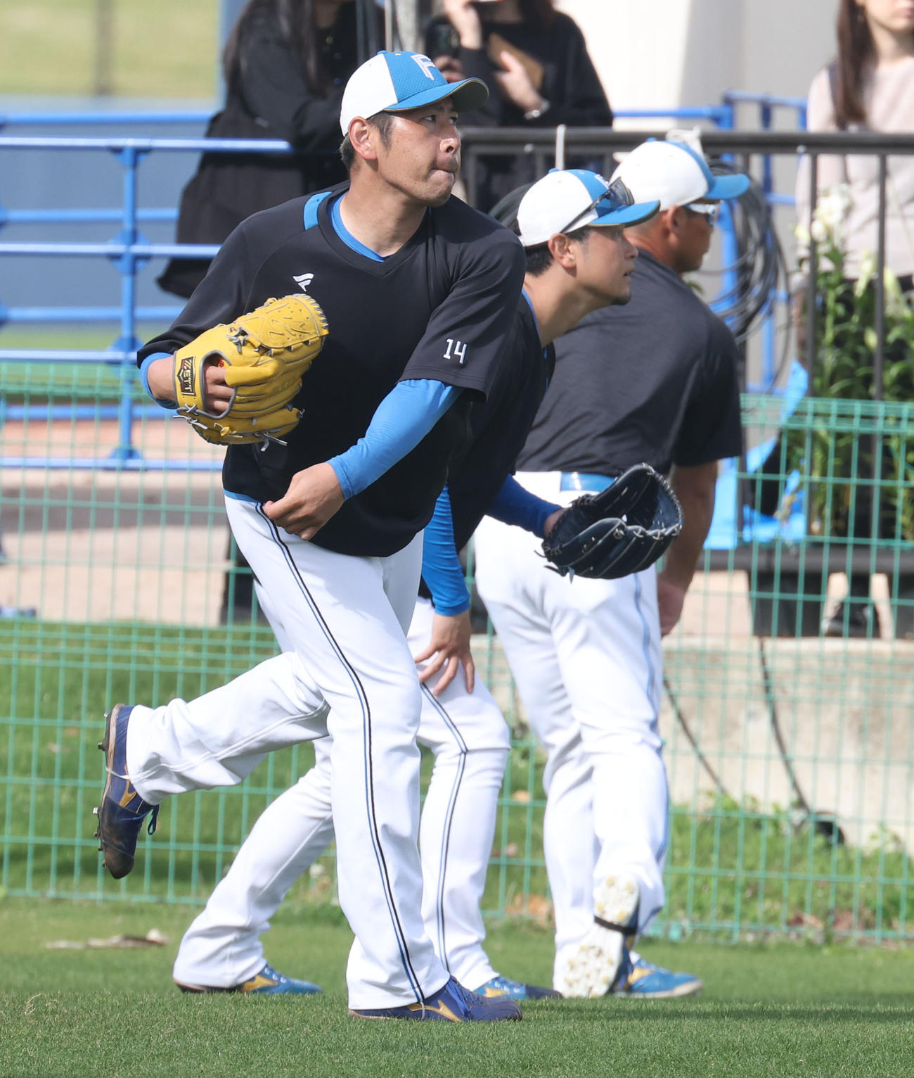 キャッチボールをする日本ハム加藤貴（撮影・佐藤翔太）