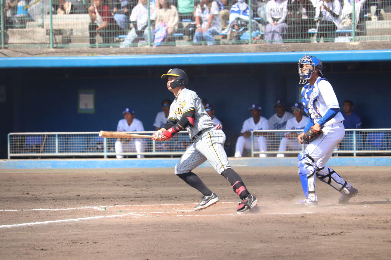 2軍練習試合・中日戦で左翼への本塁打を放った阪神野口恭佑外野手