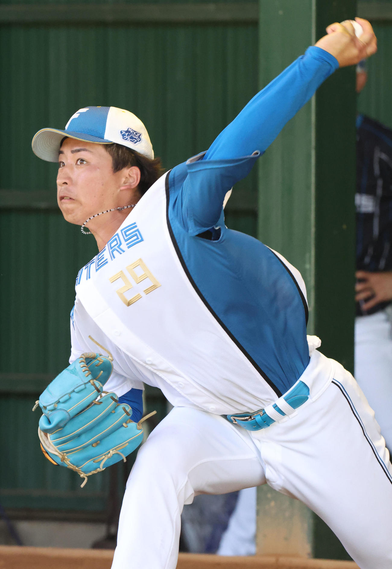 ブルペンで投球する日本ハム細野（撮影・佐藤翔太）