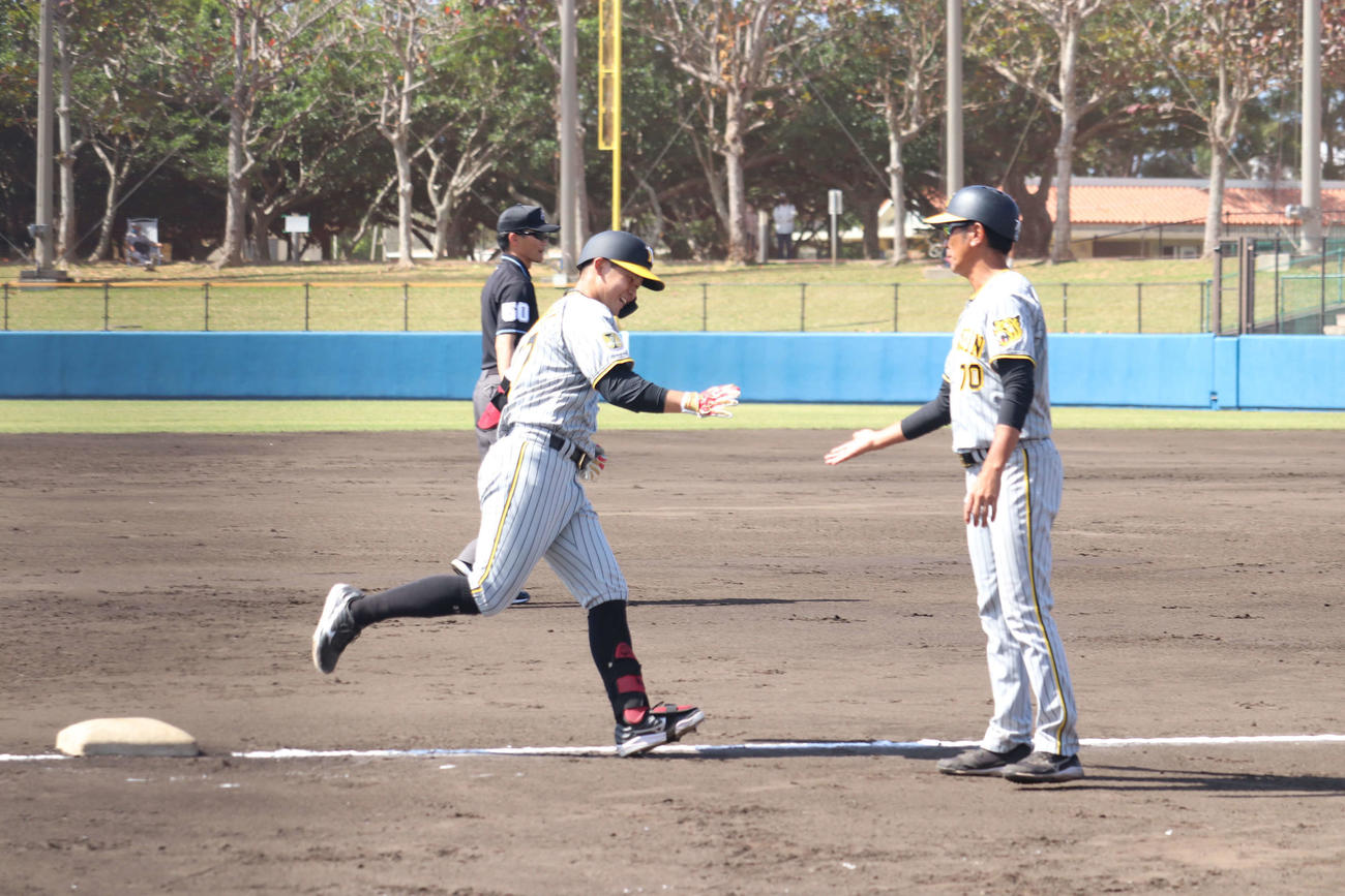 2軍練習試合・中日戦で左翼への本塁打を放ち、ベースを周る阪神野口恭佑外野手（撮影・波部俊之介）
