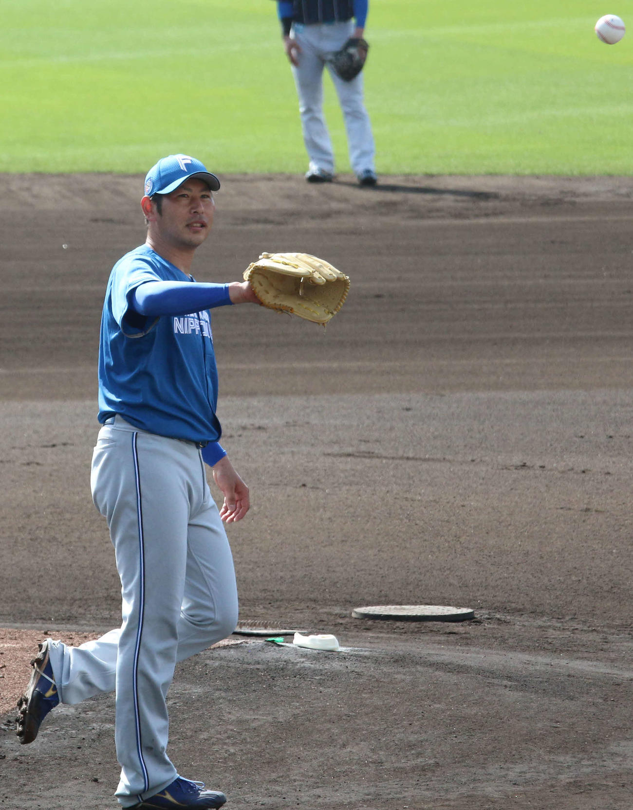 今キャンプで初めてライブBPに登板した日本ハム加藤貴（撮影・中島宙恵）