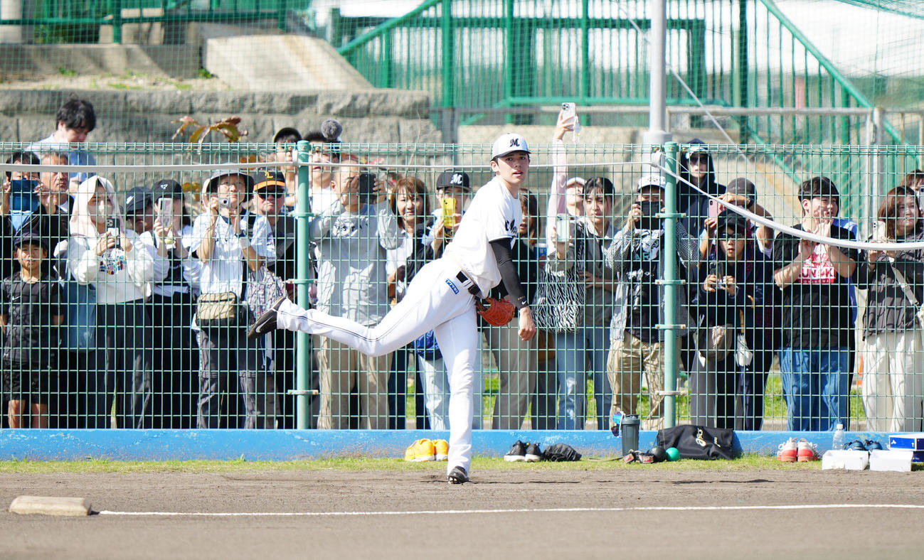 大勢のファンが見つめる中、キャッチボールを行うロッテ佐々木（撮影・江口和貴）