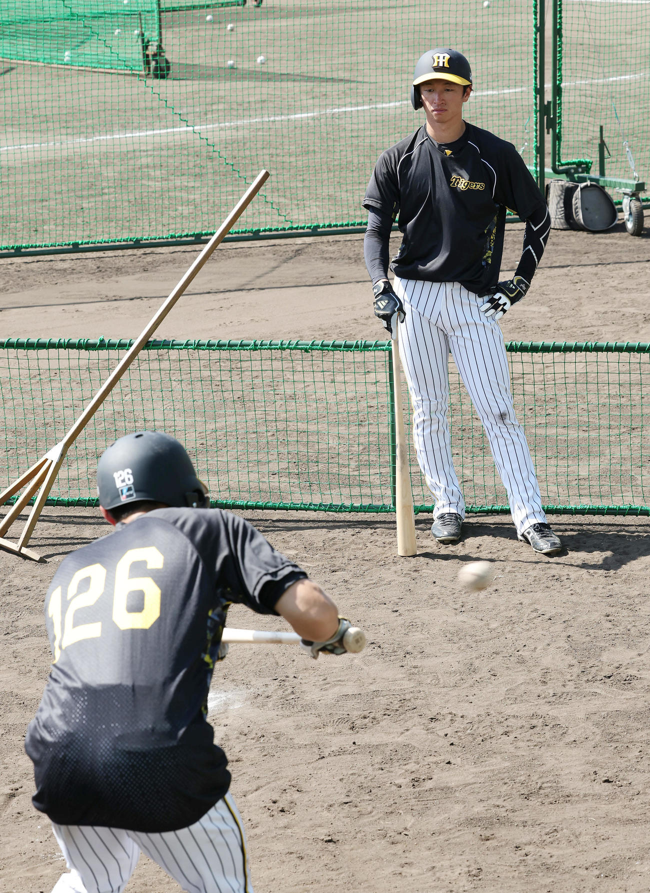 阪神福島（手前）のバント練習を見つめる近本（撮影・前田充）