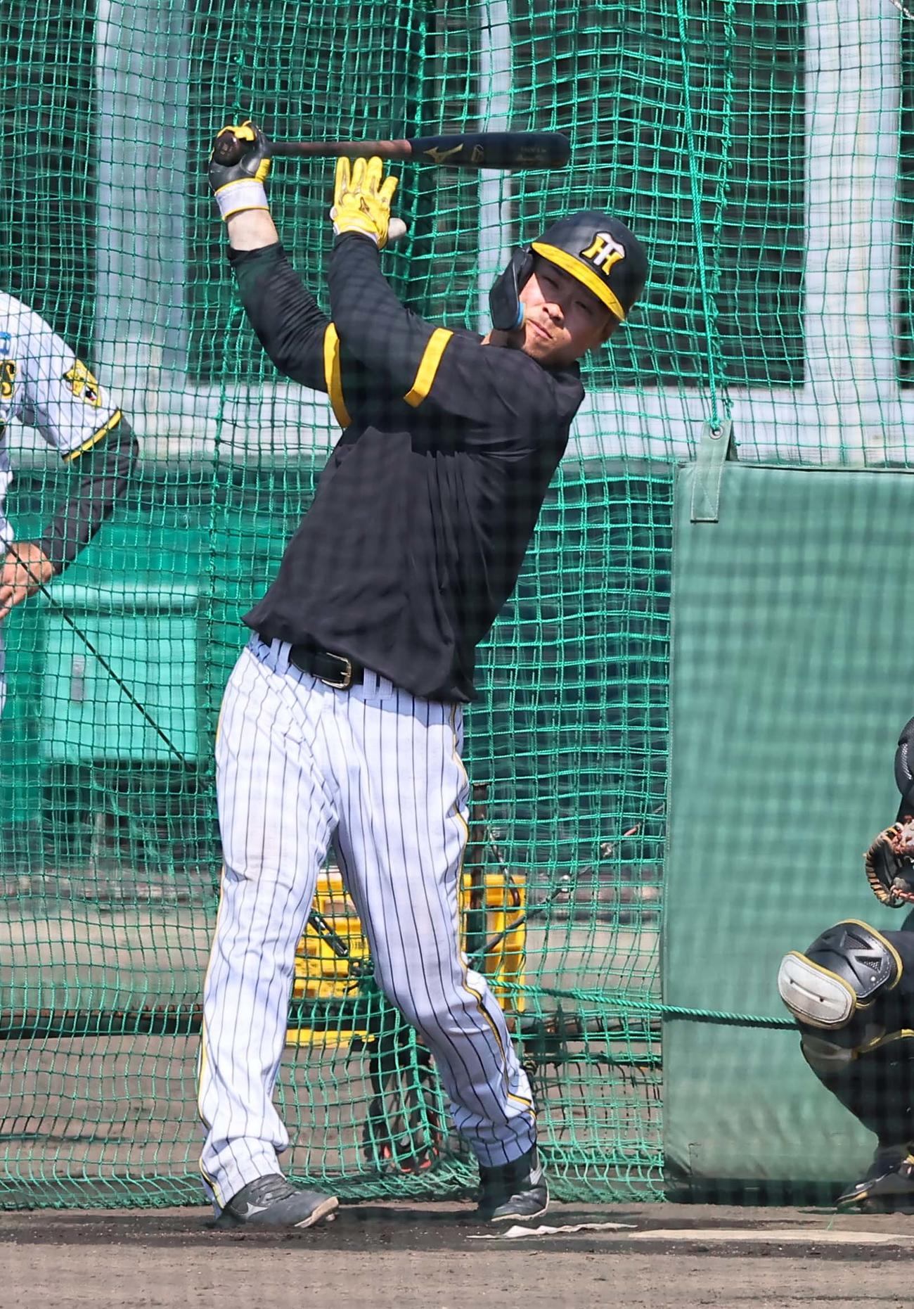 フリー打撃練習をする佐藤輝（撮影・上田博志）
