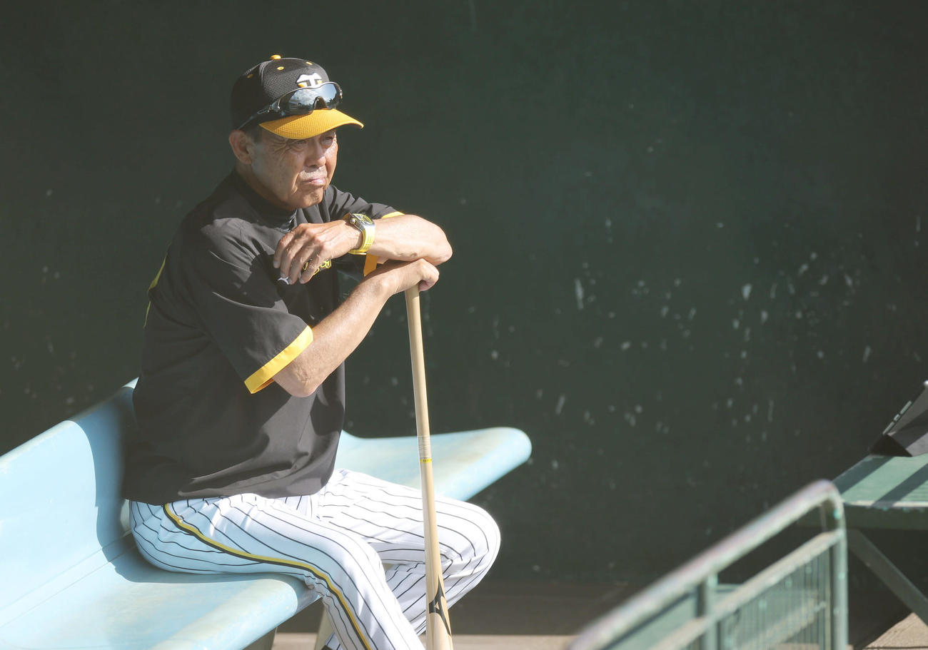 打撃練習を見つめる阪神岡田監督（撮影・前田充）