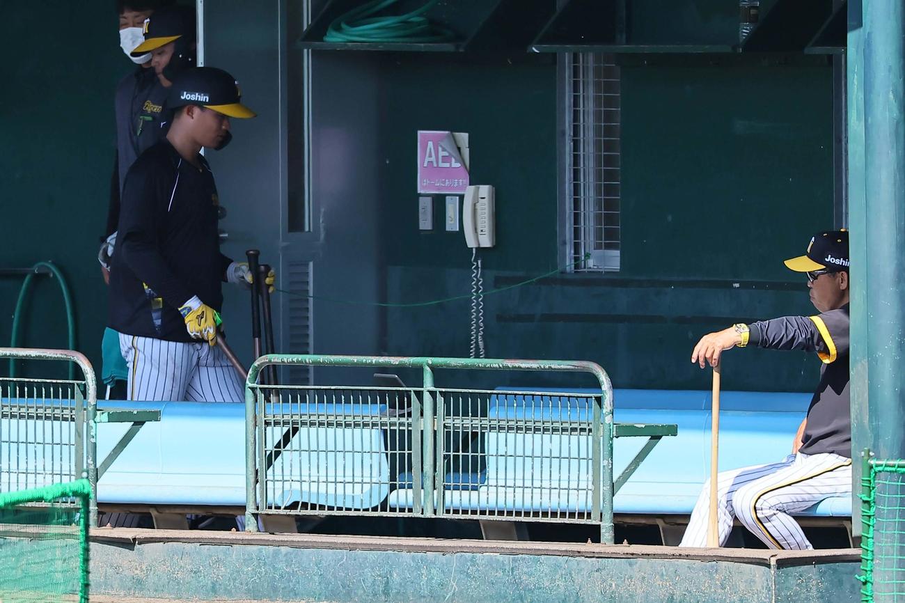 フリー打撃練習を終えベンチに引き揚げる森下。右は岡田監督（撮影・上田博志）