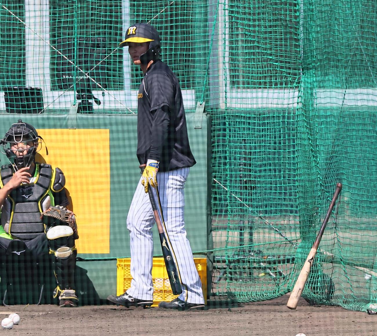種類の違うバットを2本持ってケージに入る森下（撮影・上田博志）