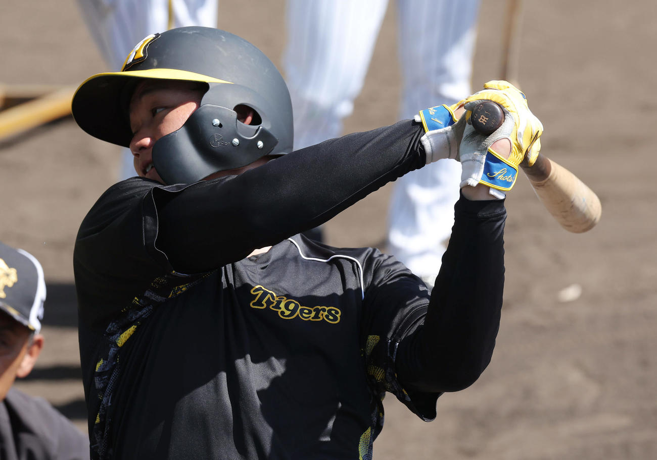 新型のバットでティー打撃を行う阪神森下（撮影・前田充）