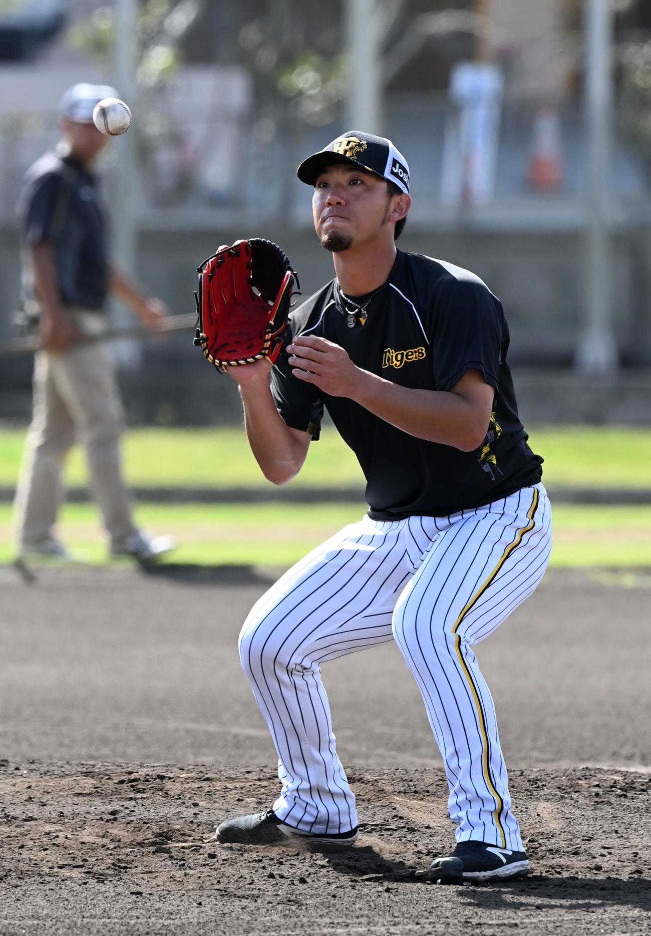 投内連係で軽快な動きを見せる阪神伊藤将（撮影・前岡正明）