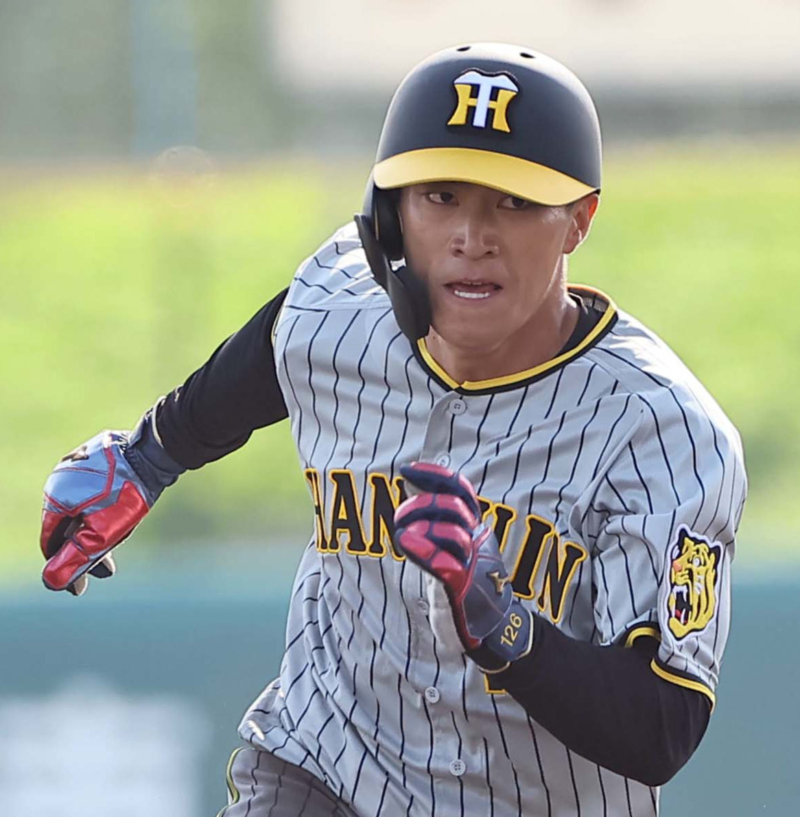 阪神福島圭音（2024年2月18日撮影）