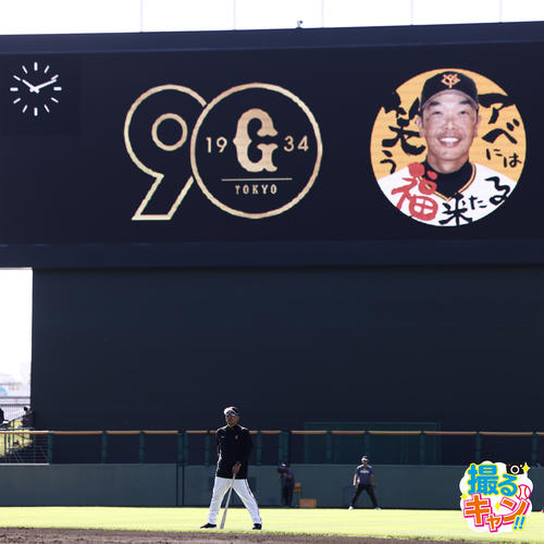 オープン戦　巨人対阪神　試合前、練習を見守る巨人阿部慎之助監督（撮影・河田真司）