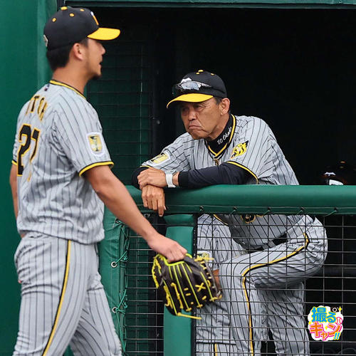 巨人対阪神　巨人に７失点した伊藤将司（左）とベンチの岡田彰布監督（撮影・上田博志）
