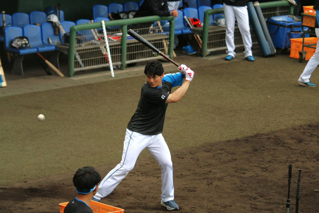 ティー打撃を行う日本ハム清宮