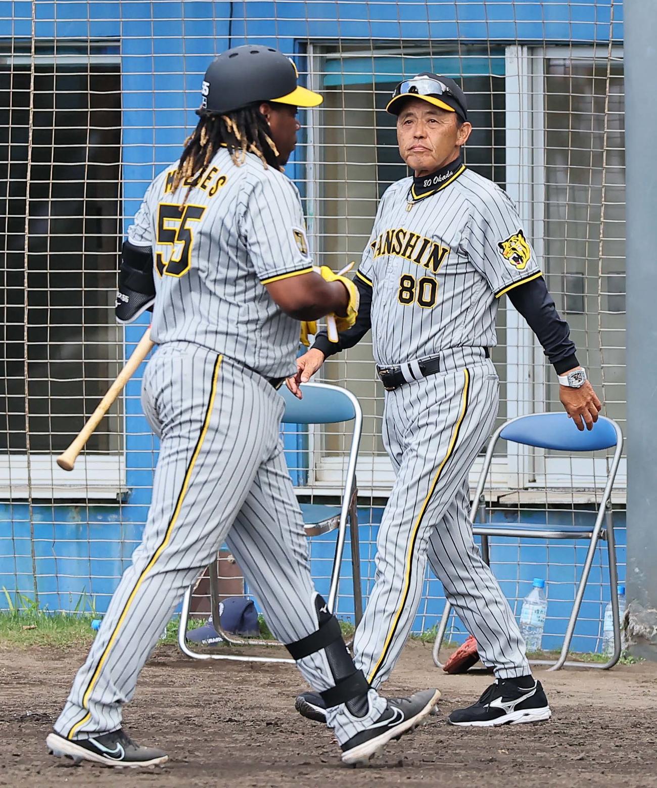 ヤクルト対阪神　岡田監督（右）選手交代を告げる。右は三振に倒れベンチに引き揚げるミエセス（撮影・上田博志）
